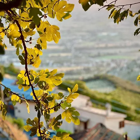 Tetti Di Trevi Apartment