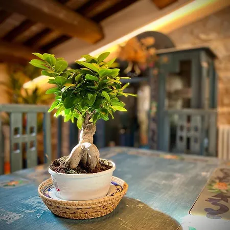 Tetti Di Trevi Apartment Santa Maria in Valle