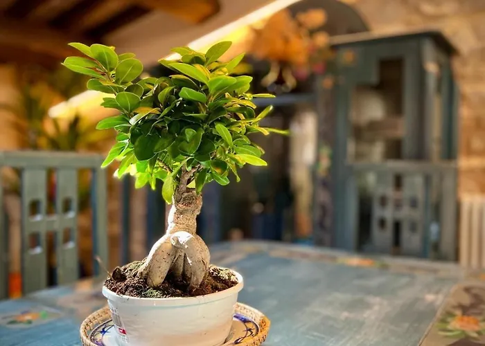 Tetti Di Trevi Apartament Santa Maria in Valle